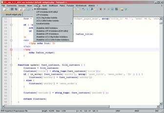 notepad++ notepad++
