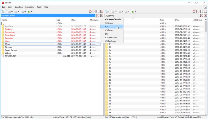Saladin fájlkezelő előzmény