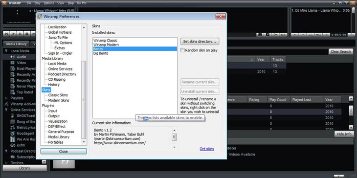 Winamp skin