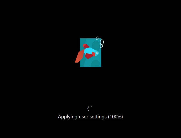 Indítás halacskával Windows 8 indítás halacskával