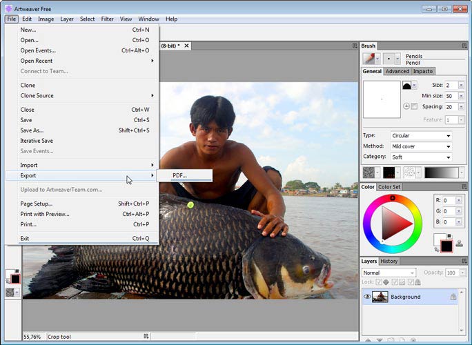 Artweaver PDF