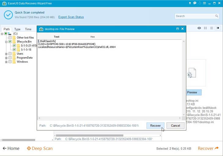 EaseUS Data Recovery Wizard szöveg nézet