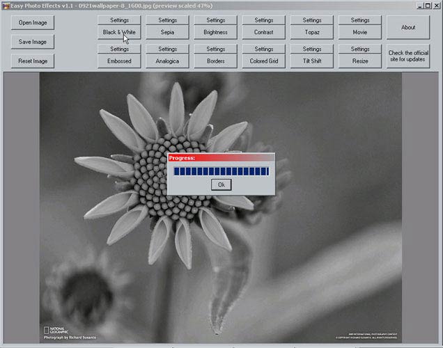 Easy Photo Effects fekete-fehér