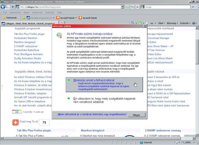 Internet Explorer 8 szűrés