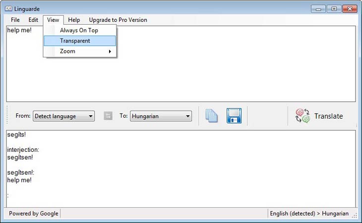 Linguarde nyelvfelismerés