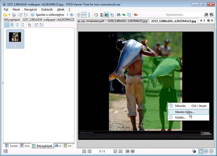 STDU Viewer kijelölés