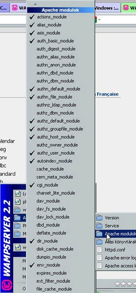 WampServer Apache